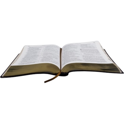 image_f7766f74-8e79-4369-8015-92e5d11d2951