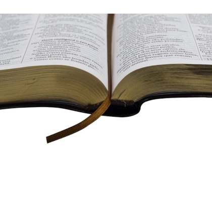 image_0ec13215-dbd6-45f8-86a1-86d9ad051d68