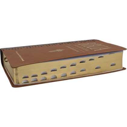 image_e685e602-8320-4156-85d6-1feb4d11c8e6