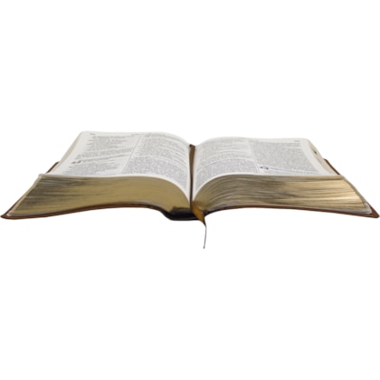 image_a3ddbfa9-89da-4de4-b193-b6dbf7421746