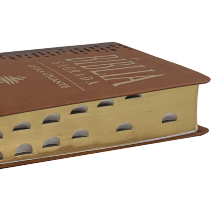 image_5cf43c40-3f60-4c50-8072-c9c68bba4ac5