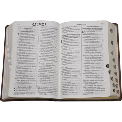 image_f41f9328-52f7-463f-bcc0-36ceb38729d0