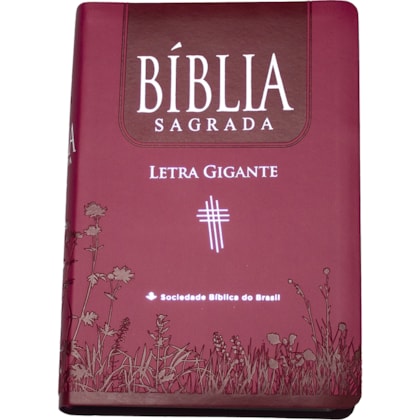 image_c7cc662a-ff36-432d-bd48-e23a49cca333