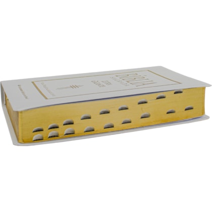 image_e1d3ab73-c661-492b-9649-8c851f5bfb61