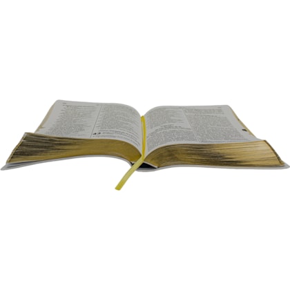 image_2fac02d0-8f1b-4511-a3e4-d9de0e2c7c9b
