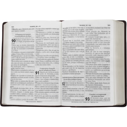 image_9a13e05f-2a00-450e-a2ae-700c701ec5a0