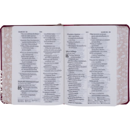 image_d0d6f7f4-a150-404b-8f8c-ddc4132e5593