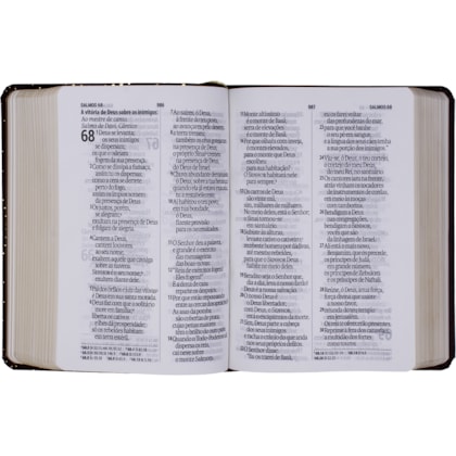 image_3c01cd01-6097-4362-b526-3fc5a5483878