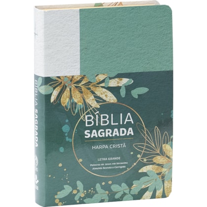 image_3aeb12f1-cad1-447a-a112-fee5e89fd386