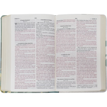 image_f012312a-7f9b-43bf-934a-a0dc08e5ddb0