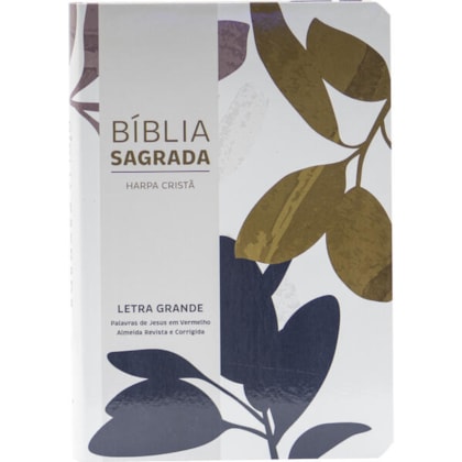 image_c06564af-5de7-4ed0-8e58-cbbedf429639