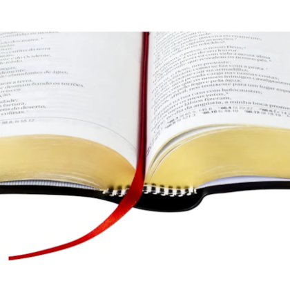 image_70829a64-3024-451c-b5b5-b2e1afbe6917