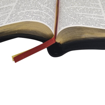 image_60cbd2f3-e8ad-4c41-8ce2-daec095e415a