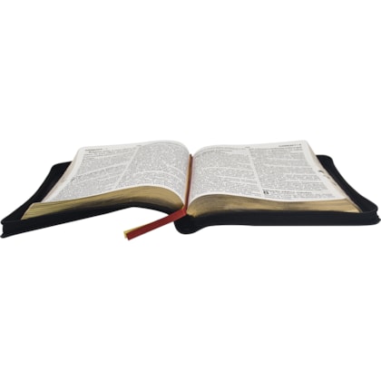 image_0a70e2bb-b1a4-43a8-9d2e-47c3016324d3