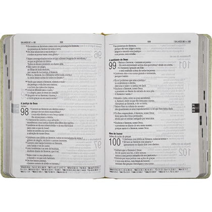 image_e761fc2f-7156-4909-8096-e0723376a434