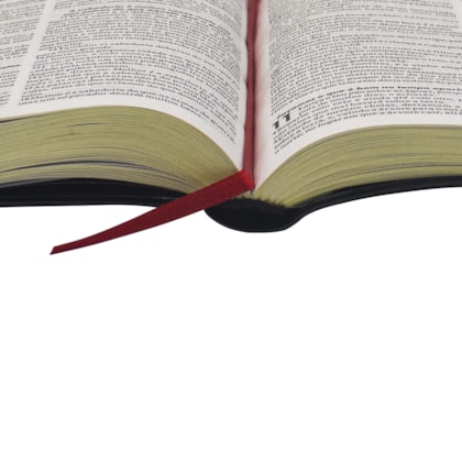 image_bb1e63c4-3b49-4b86-b107-e5193fceed4d