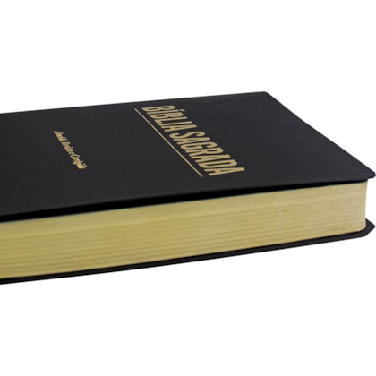 image_bddcf0d4-6a73-4db8-a127-2e997448b297