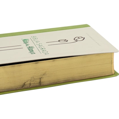 image_8da1b61d-e2cd-4e2a-a000-e0d37923384d