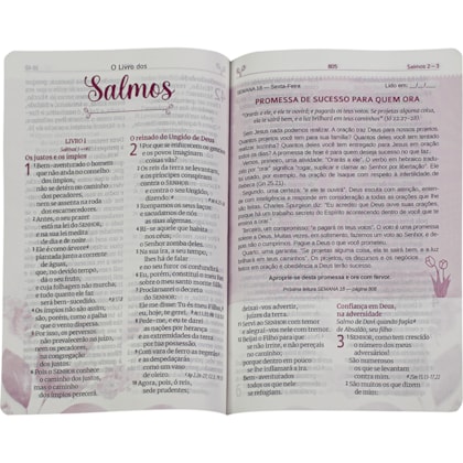 image_556efffc-a91b-40a5-95b8-8d08f4c083ba