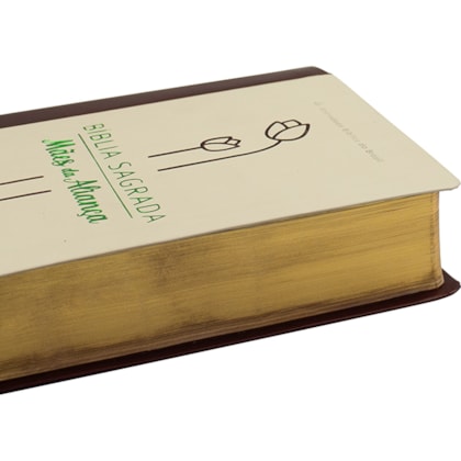 image_4231ab2f-d973-4816-95fc-9b1e6f2644c2