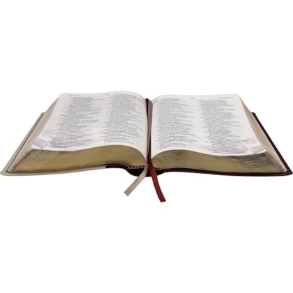 image_373b3d09-9f29-4ea3-8276-ea1a121b5ad7