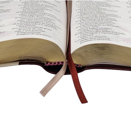 image_3d988e90-f9e6-431f-a7e6-6df4efde2340