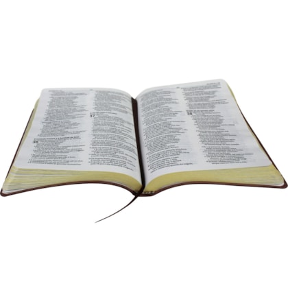 image_3d117daa-11bd-449a-b719-29d6f642b53c