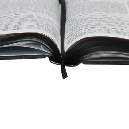 image_0aab2f9a-94e8-417f-ba3a-0ced4b8de5cb