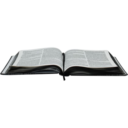 image_fd58aeac-9ce2-4380-aff5-00379e74e8ff