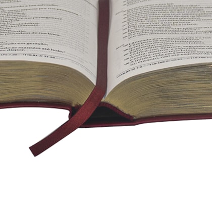 image_6112edf5-3d7a-48ed-92d5-a3a5a3658dbd