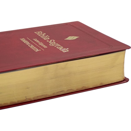 image_4fad7a67-8e2c-4e95-b436-4d1e6bbf40c7