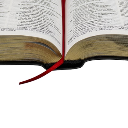 image_2689b773-4490-49a9-b3a2-b3117342660f