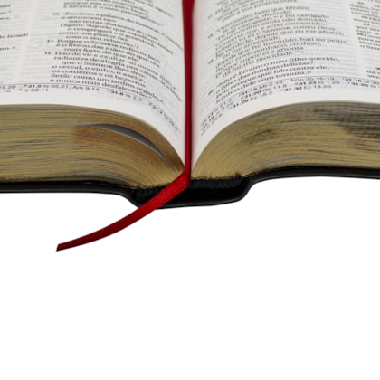 image_93dd46b2-b63f-4100-b1f2-4e8b5a6d6ba8