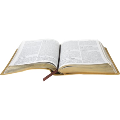 image_accf73cc-1cf4-47ff-9428-d5268ec68c90