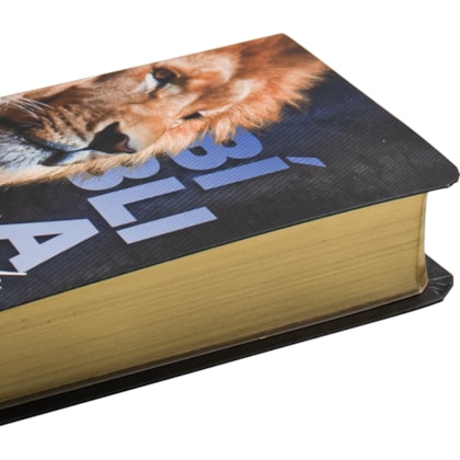 image_07a0c019-a124-4939-95ce-f537b5b20ced