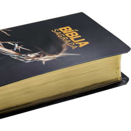 image_5561a18b-8018-4556-b683-1c49f59e7800