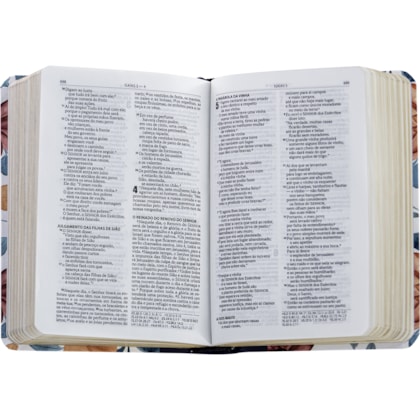 image_1a232d3b-a8f2-4b82-8072-51ca53953367