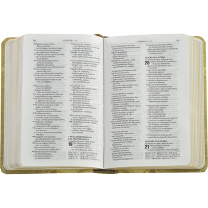 image_bf447fcd-3c32-487c-a1ab-603eda57216c