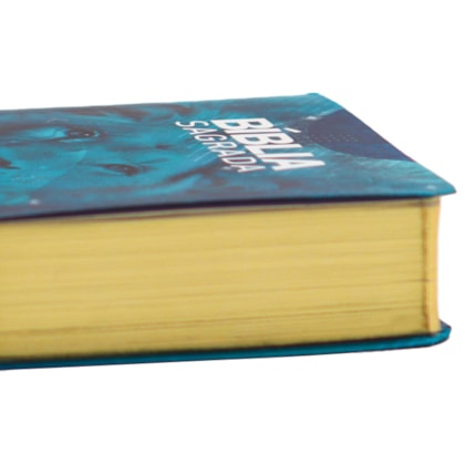 image_04d4a80b-2234-4b7a-9d29-6662698af092