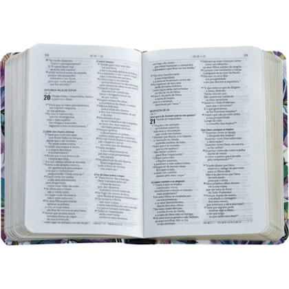 image_67062a76-fcc1-4eba-8a2c-fb8152c68b04