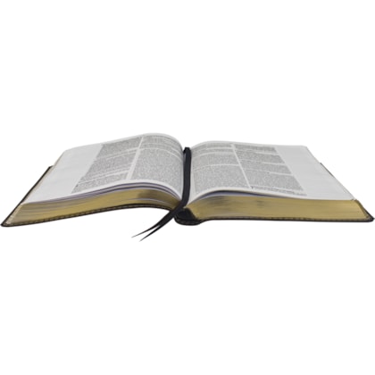 image_fe5cd4c6-8eaa-4c50-a824-01c4dbfac65a