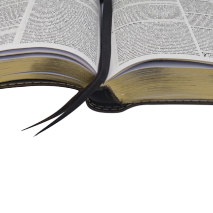 image_abc57508-9ed6-48b0-92ce-c9cc00bd4fd1