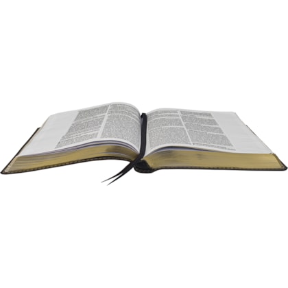 image_e15f9215-ca1c-46ac-89c1-1ae1abbcf21e