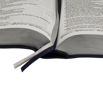 image_e45dd046-cefe-4d31-b451-be1f52a90173
