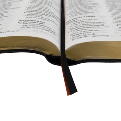 image_e6f0fe75-f465-4037-b195-82ebe5e36ab2