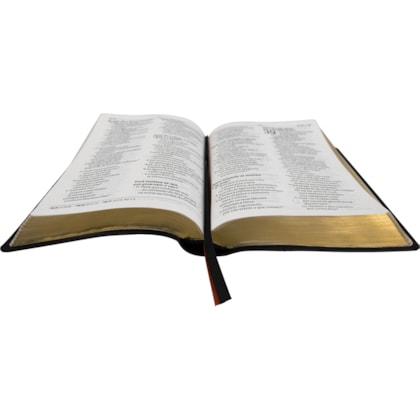 image_a43995e9-ca6a-491b-9b7b-b10203eeb9b1