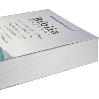 image_ae71ff20-4060-4942-b598-538b0c4be3c3