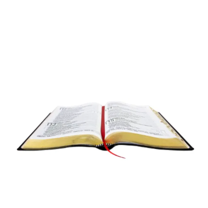 image_e1e58a75-fcec-4412-a2fe-7bd301dc50de