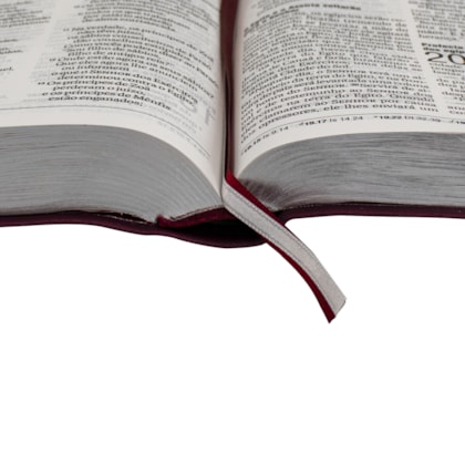 image_07711f83-67ee-4294-905f-5fe9e74abab8