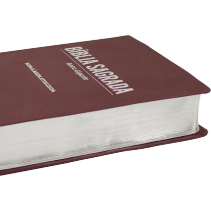 image_49899b3f-50fd-451d-bc5b-8abb900fc090